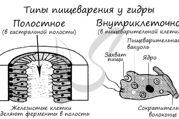 Зеркало вход кракен