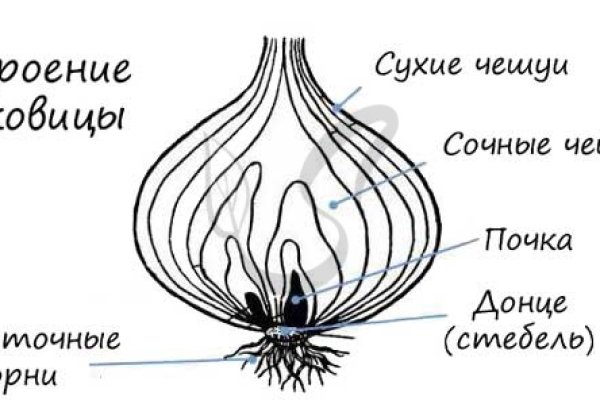 Что случилось с кракеном сайт