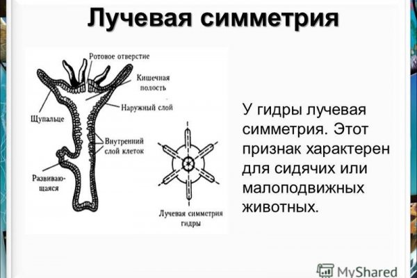 Кракен магазин наркоты